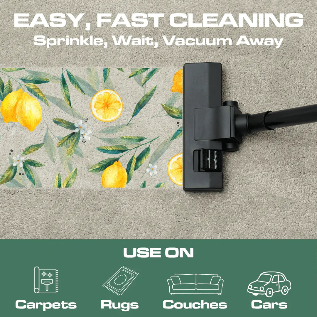 Scented Carpet & Upholstery Deodorizer Powder Ripclean