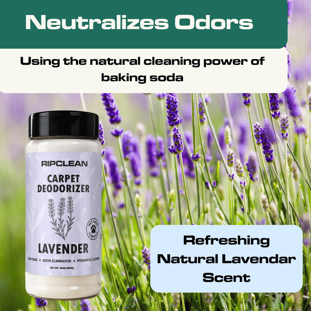 Scented Carpet & Upholstery Deodorizer Powder
