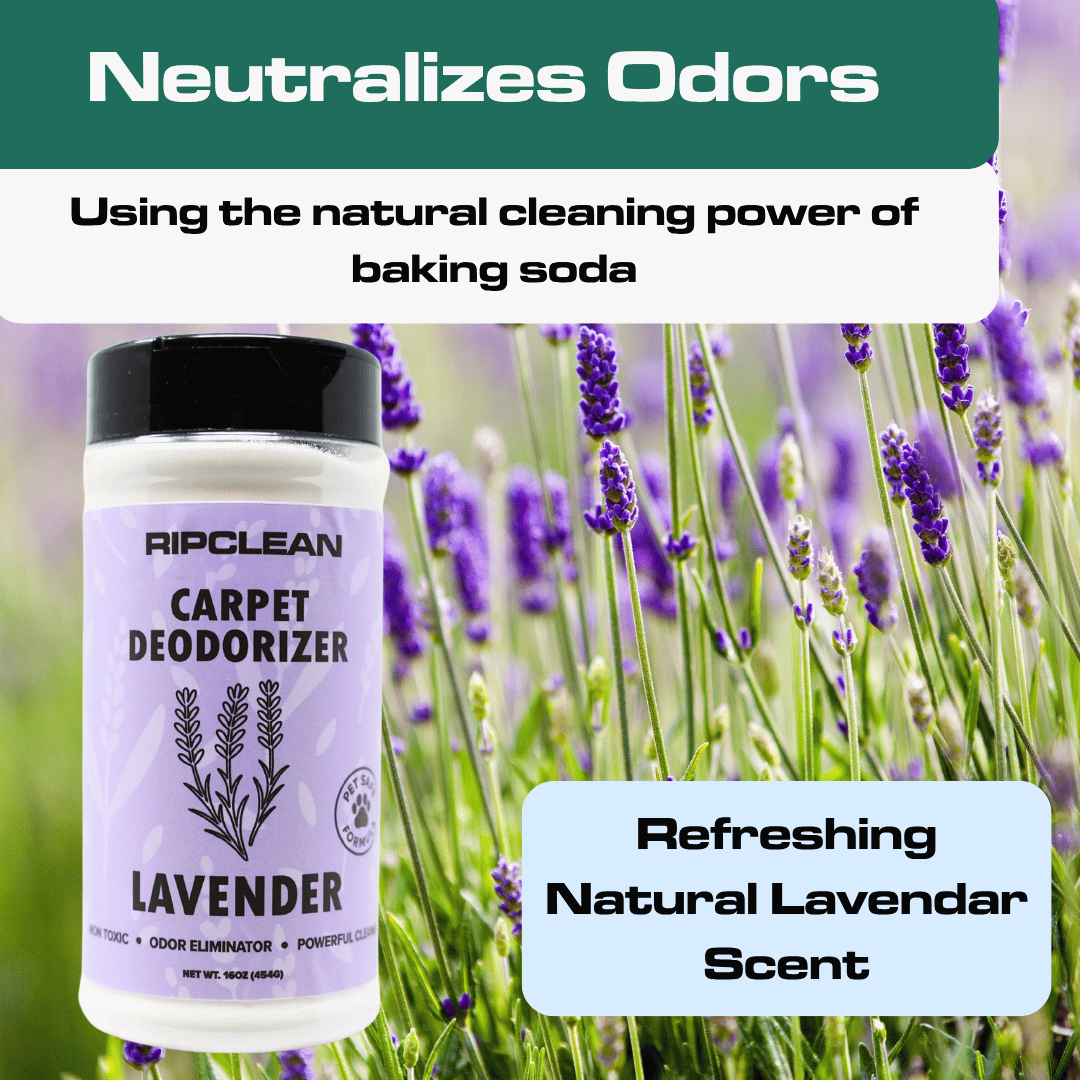 Scented Carpet & Upholstery Deodorizer Powder