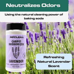 Scented Carpet & Upholstery Deodorizer Powder