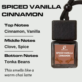 Ripclean Air Fresheners, 1-3 Month long Scents Ripclean