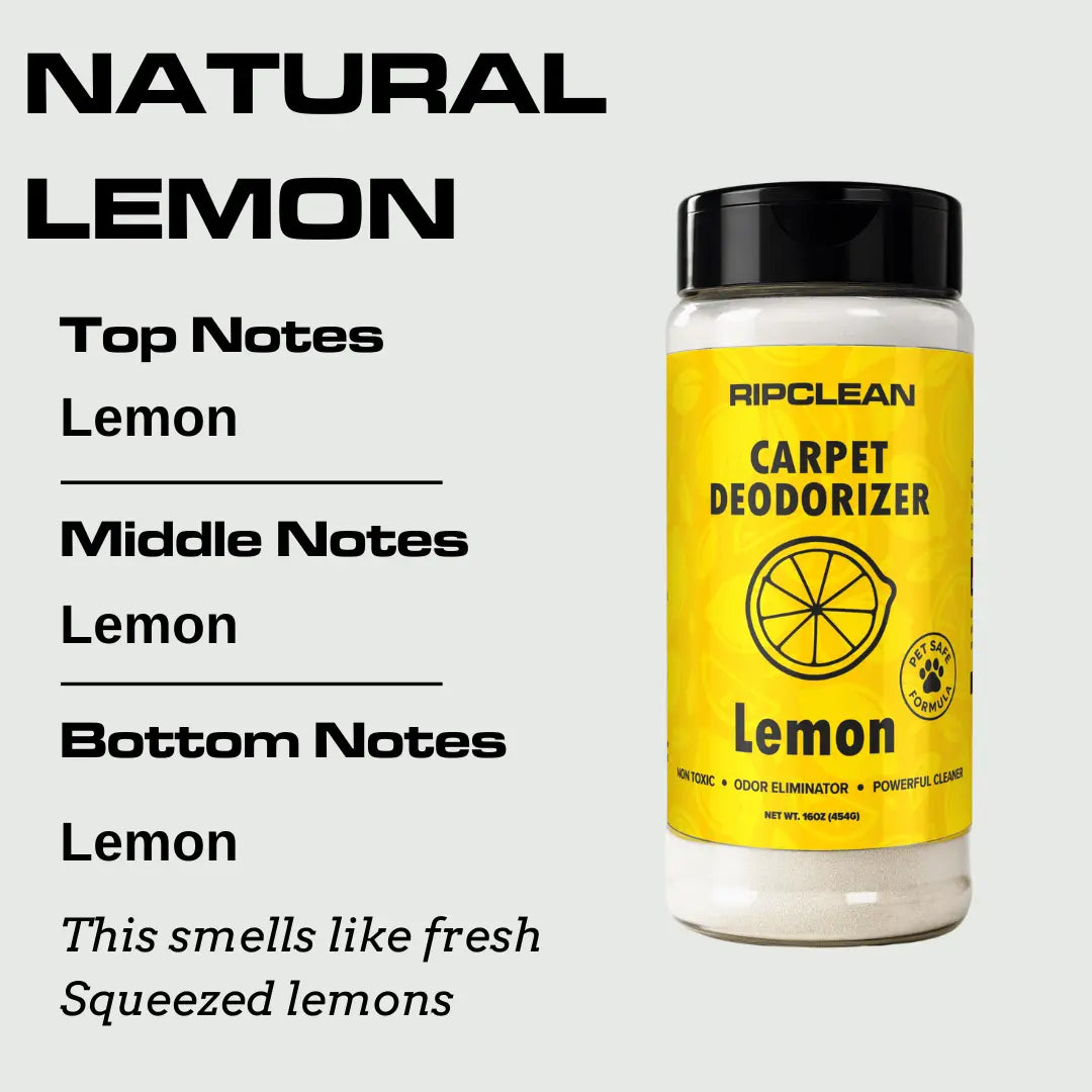 Carpet & Upholstery Deodorizer Powder | Ripclean