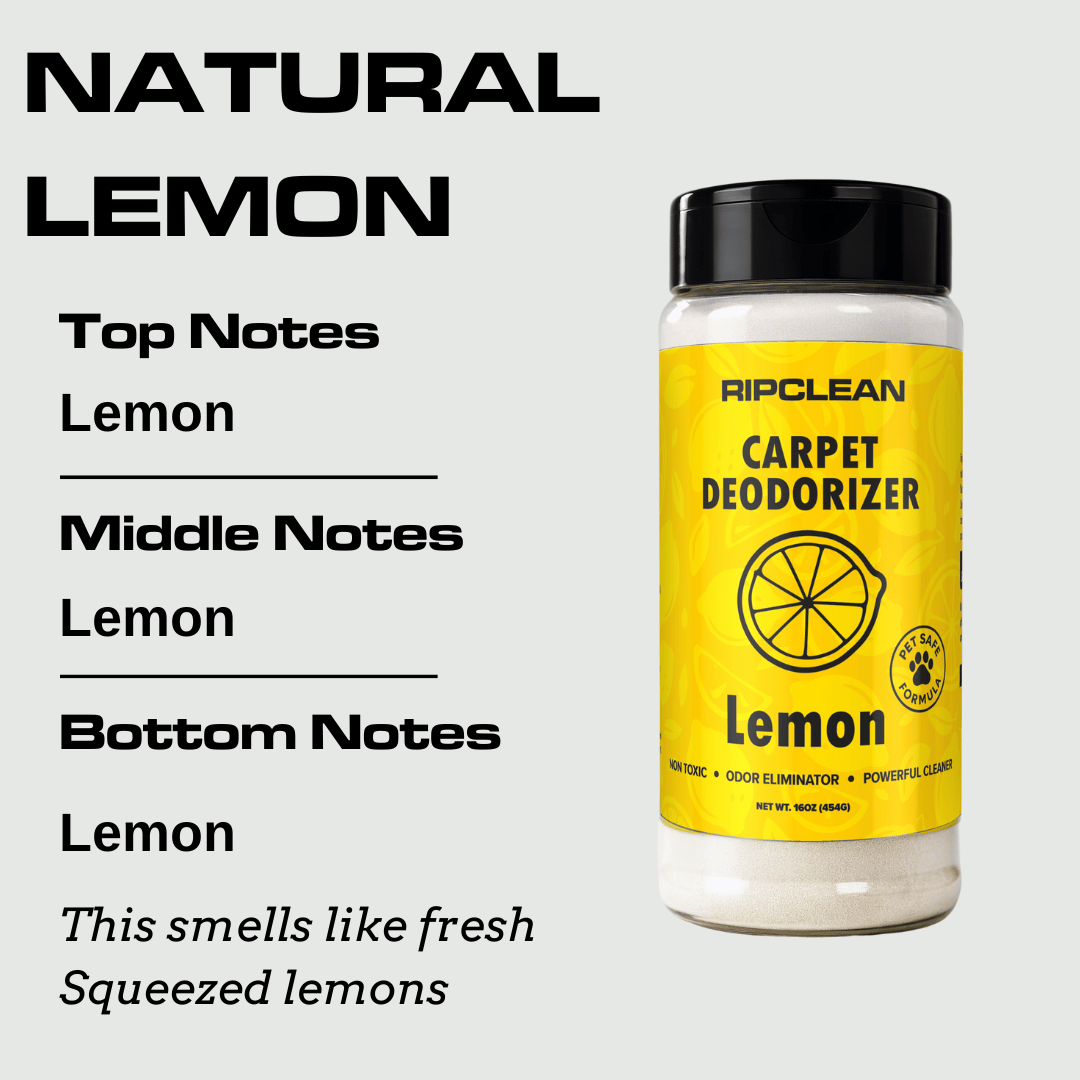 Scented Carpet & Upholstery Deodorizer Powder